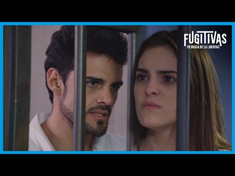 Imagen predeterminada