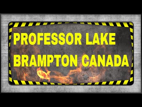 PROFESSOR LAKE IN BRAMPTON CANADA