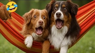 Funny Animal Videos 2025 🐾 | Cute & Hilarious Pets Compilation