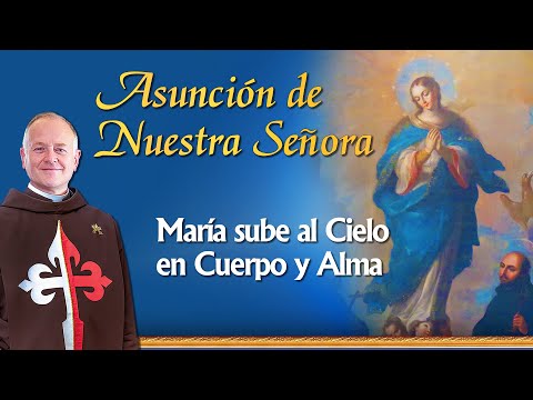 Asunción de la Virgen María. Explicación del Dogma | Padre Ricardo del Campo #novena
