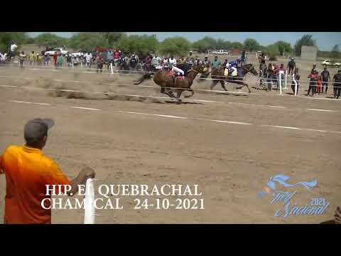 HIP. EL QUEBRACHAL - CHAMICAL 24-10-2021 - CARRERA 4 GLADIADOR