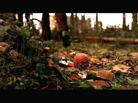 Ein Männlein steht im Walde ...