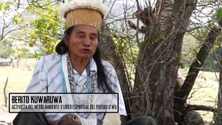 Voices of Amerikua I Berito Kuwaruwa (Cobaría), Pueblo U&#39;Wa - Colombia
