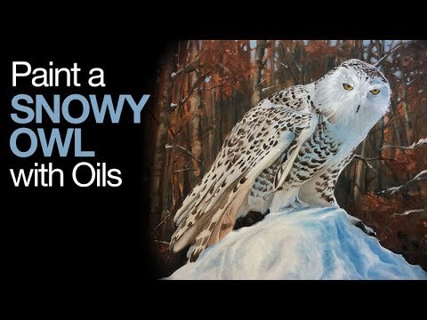 Oil Painting Lesson - Snowy Owl