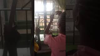 WAEC 2018 PHYSICS PRACTICAL-MECHANICS--SHM @A-ONE TUTORS &DICTION ACADEMY OKOKO LAGOS@+2347062237772