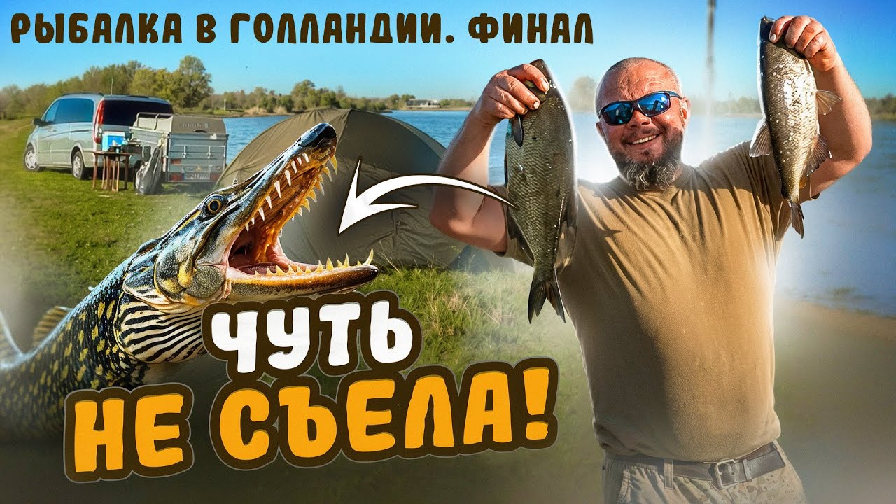 ЧУТЬ НЕ ОТКУСИЛА! 😱 Щука напала на улов у самого берега. Финал в Голландии 3ч
