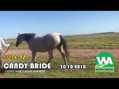 Lote CANDY BRIDE