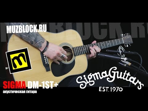 Обзор акустической гитары DM-1ST+