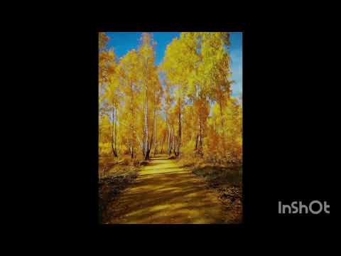 🍁T1One feat. Lee Tonya - Я испарюсь,убегу, улечу словно птица🍁