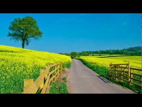 Amulett együttes - Szép nyári nap