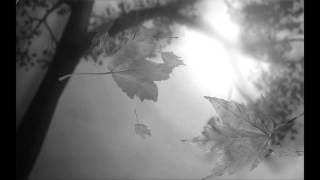 The Light by Nick Hakim