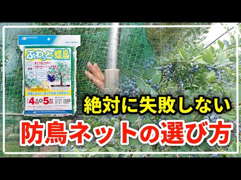 この春、苗木を鳥から守るにはどうすればよいでしょうか？羽のある鳥が若い植物を食べないようにするための 5 つのヒント  庭園