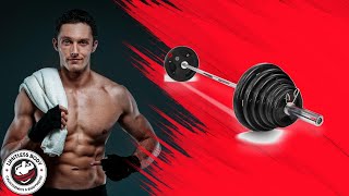 Why Do Pro Trainers Choose The Fitvids Olympic Barbell Set?