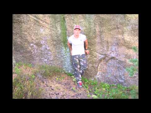 Robin Camitz - Nytt Perspektiv ( Public Secret )