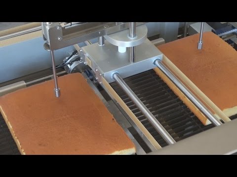 Xilix spectrum dual head waterjet cake cutter