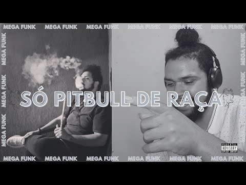 MEGA FUNK SO PITBULL DE RAÇA