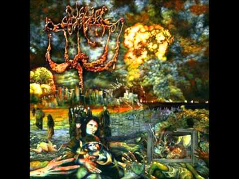 Sublime Cadaveric Decomposition - Shackles of Terrorism