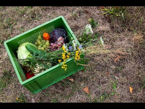 Wir teilen uns die Ernte und retten dabei die Welt