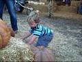 Oct 18 2008 VID00029