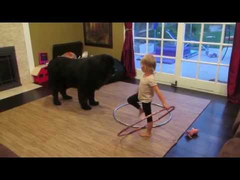 Perros grandotes y niñas chiquitas: las nuevas aventuras de Sierra y Sebastian