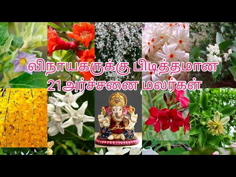 விநாயகருக்கு பிடித்தமான அர்ச்சனை மலர்கள்| Favorite For Ganesha 21 Archana Flowers | Pooja Flowers