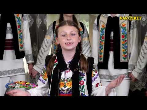 Maria Stauciuc   Sarba din Flamanzi