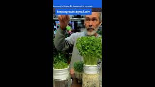 Make Money Using Social Media, For Gardeners and More