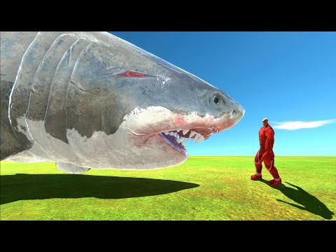 Aquatics Battle - Megalodon VS Colossus Titan - Animal Revolt Battle Simulator