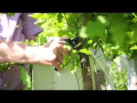 Wuchhülle SG - Recycling Teil 1