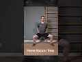 Ma Bu Horse Stance Kung Fu Terms In Mandarin Shorts