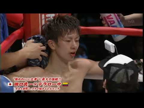 IBF: Ryoichi Taguchi vs. Hekkie Budler To Go To Purse Bids