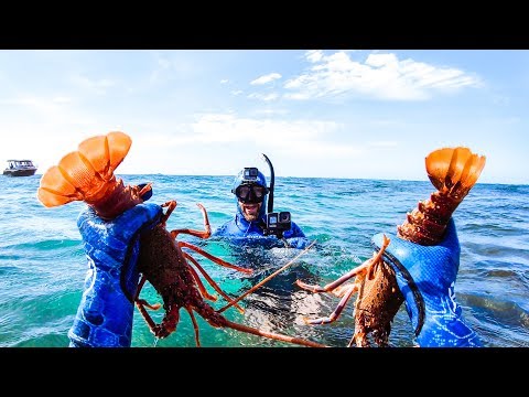 CATCHING TWO CRAYFISH IN ONE DIVE WITH BARE HANDS Australia Is Burning Please Help - Ep 157