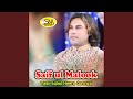 Saif Ul Malook