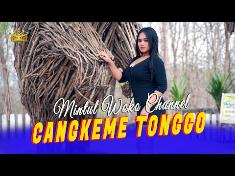 Mintul Riska Oktavia - Cangkeme Tonggo ( Official Video Music )