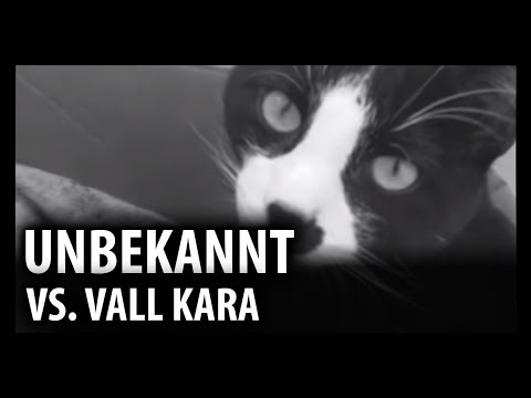 Unbekannt ft. Taois vs. Vall Kara ll ATB 2017 - Viertelfinale HR