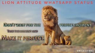 Lion Attitude Whatsapp Status  Lion Vs Wildebeest 