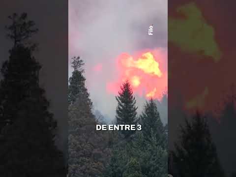 Epuyén: una mujer confesó haber iniciado el incendio que arrasó más de 100 hectáreas