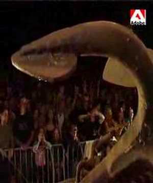 ZEJMAN & GARKUMPEL "Ląd Przebudzenia"