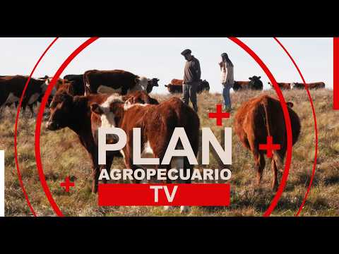 Programa del Plan Agropecuario del 20 de julio de 2026