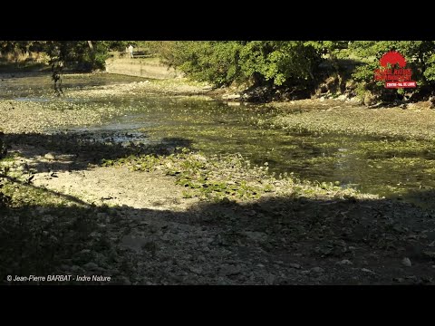 download lagu mp3 mp4 Indre Nature, download lagu Indre Nature gratis, unduh video klip Indre Nature