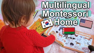 MULTILINGUAL MONTESSORI HOME! Raising a Multilingual Toddler the Montessori At Home Way!