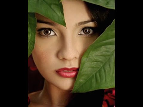 paul mauriat -- albinoni's adagio