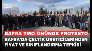 Bafra'da Çeltik Üreticilerinden Fiyat Ve Sınıflandırma Tepkisi