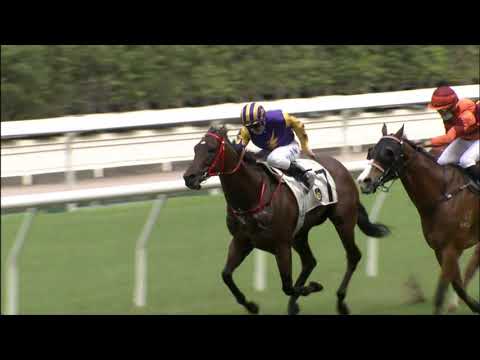 31/10/2021 (133) Lightning Storm- Z Purton