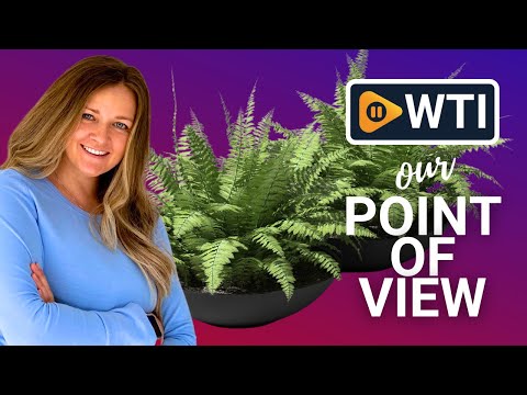 Veradek 24"" Lane Round Bowl Planter for Indoor or Outdoor Use - 2-Pack Black Black 6""H x 24""DIA 2PK - WTI product video review
