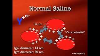 Pretransfusion Testing