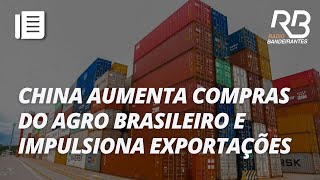 Exportações do agro para a China fortalecem a balança comercial do Brasil