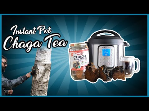 How to make Chaga Tea in an Instant Pot