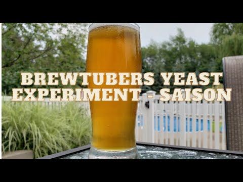 Grain to Glass - Brewtubers Yeast Experiment 2021 - Saison