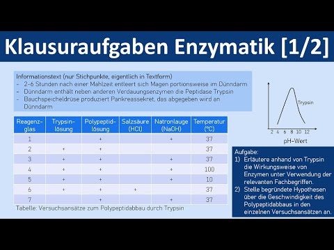 Enzyme / Enzymatik - Klausuraufaben [1 von 2] - [Biologie, Oberstufe]
